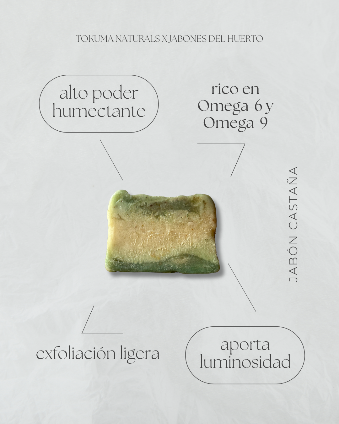 Jabón castaña